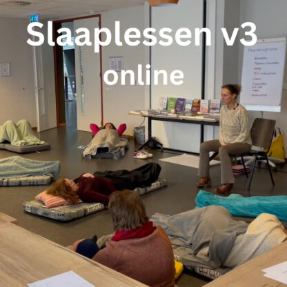 nascholing slaaplessen v 3 online